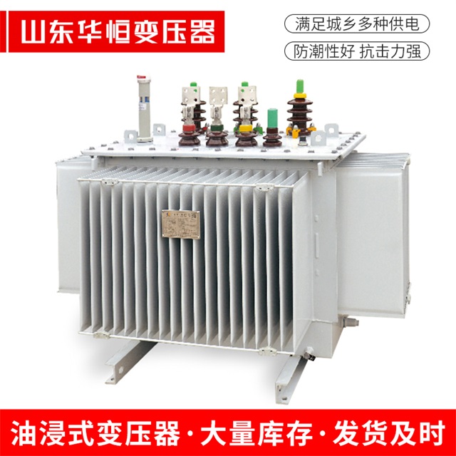 S13-10000/35奎文奎文奎文电力变压器